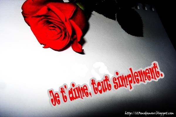 Je t'aime